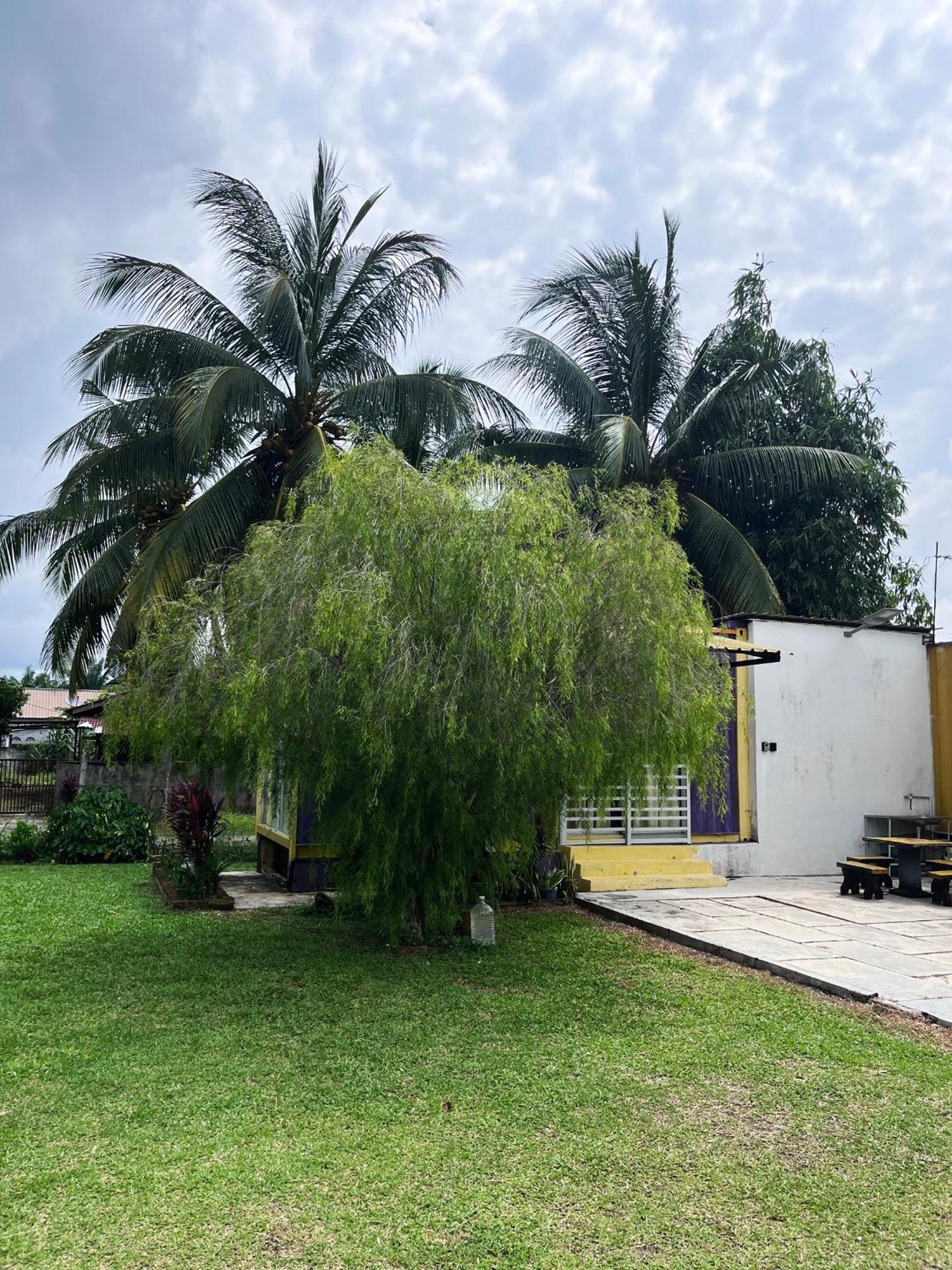 Purple Cube At Lumut Cube Homestay Kontena 外观 照片