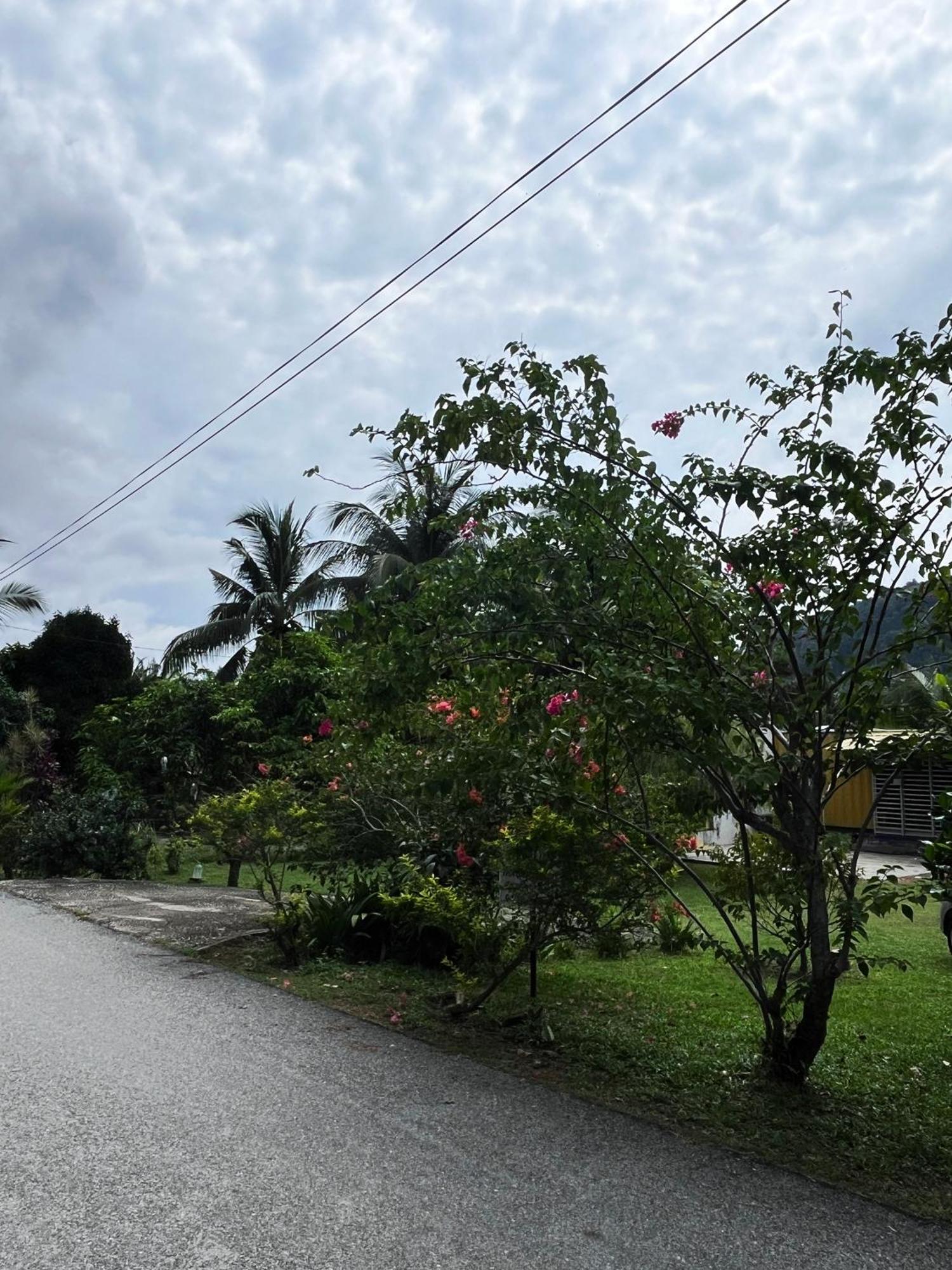 Purple Cube At Lumut Cube Homestay Kontena 外观 照片
