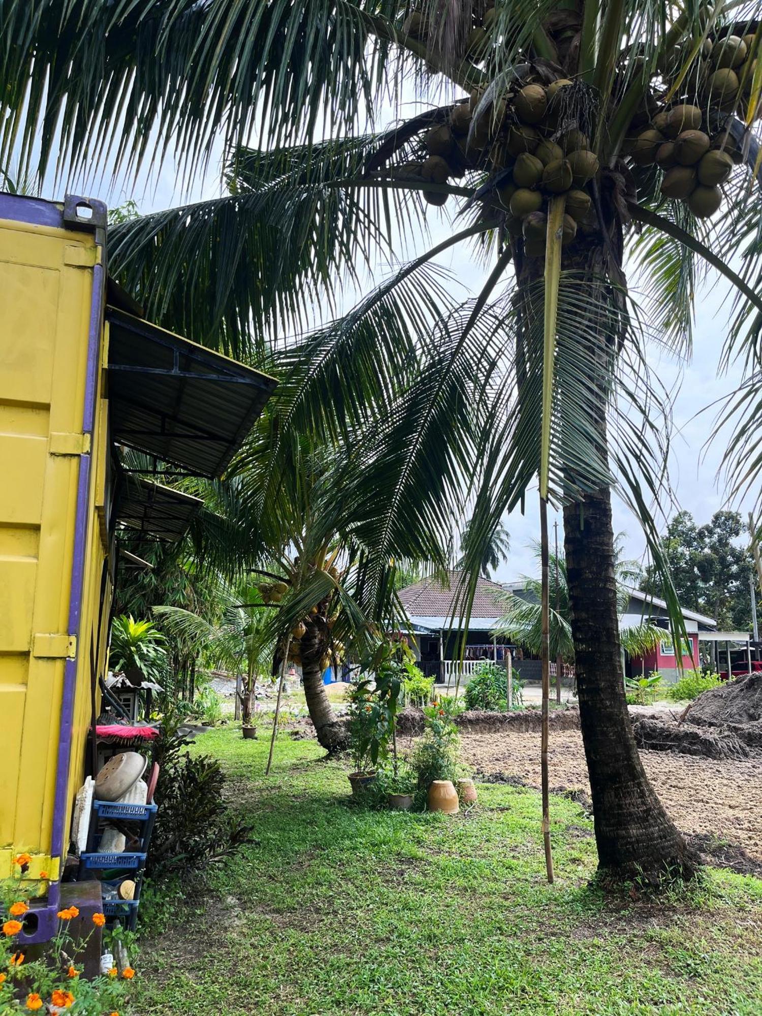 Purple Cube At Lumut Cube Homestay Kontena 外观 照片